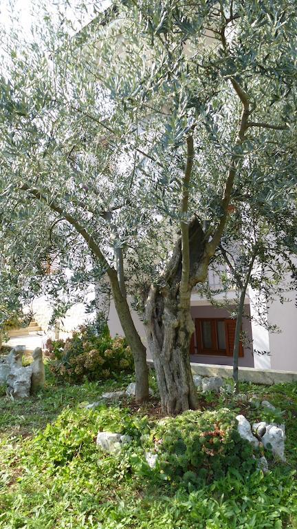 Apartments Libera Poreč Extérieur photo